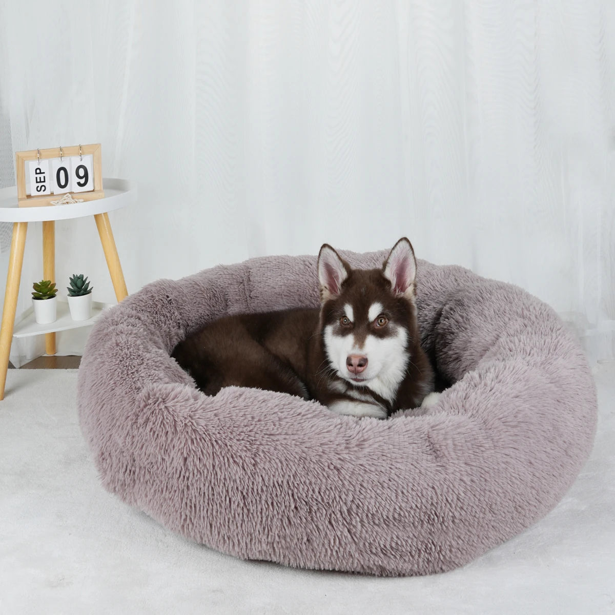 CalmBed - Anxiety & Stress Relief Cuddler for Dogs & Cats